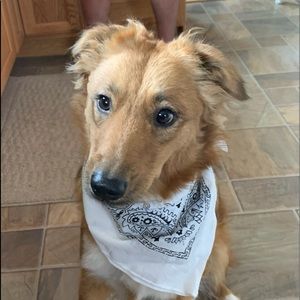 Meet your Posher, Faith